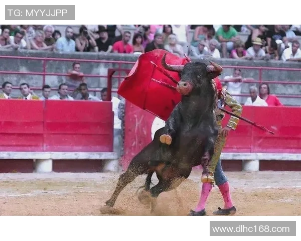 你不知道的公牛：揭秘十大鲜为人知的冷知识和有趣事实